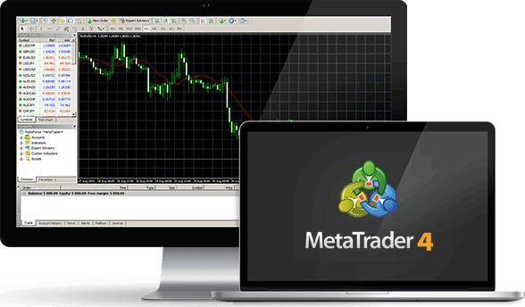 mt4-trading (1)